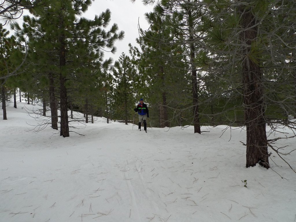 Christmas2010 119.JPG